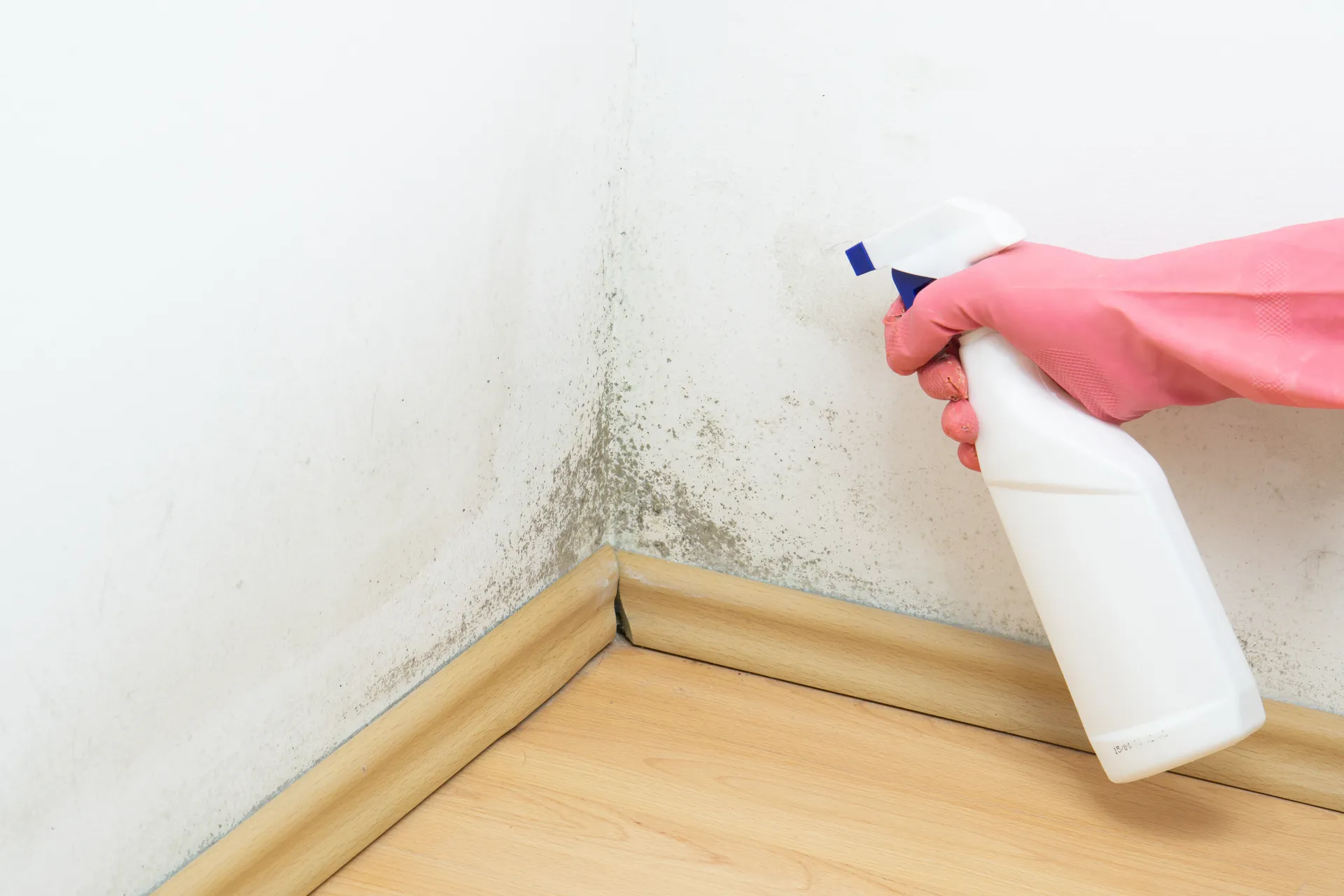 spray bottle with a bleach mixture