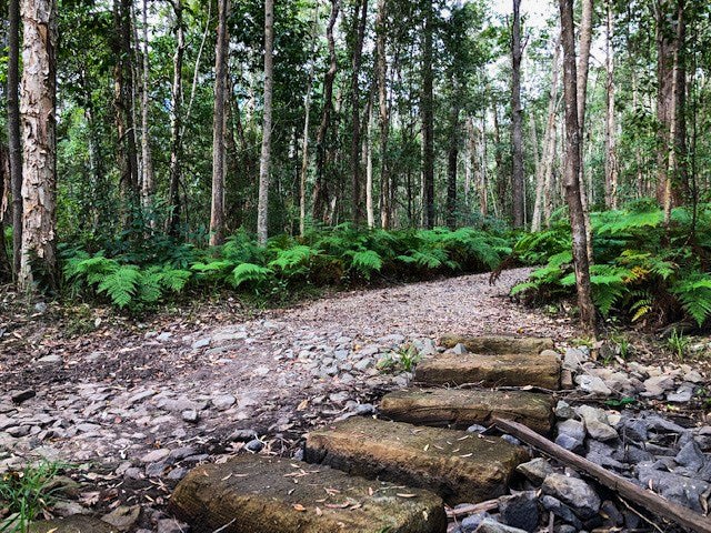62955_Ironbark%20Trail%202_edited.jpg