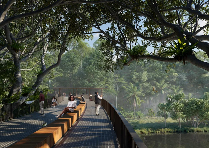 An artist impression of the Treetop Bridges in the Sunshine Coast Ecological Park draft master plan.