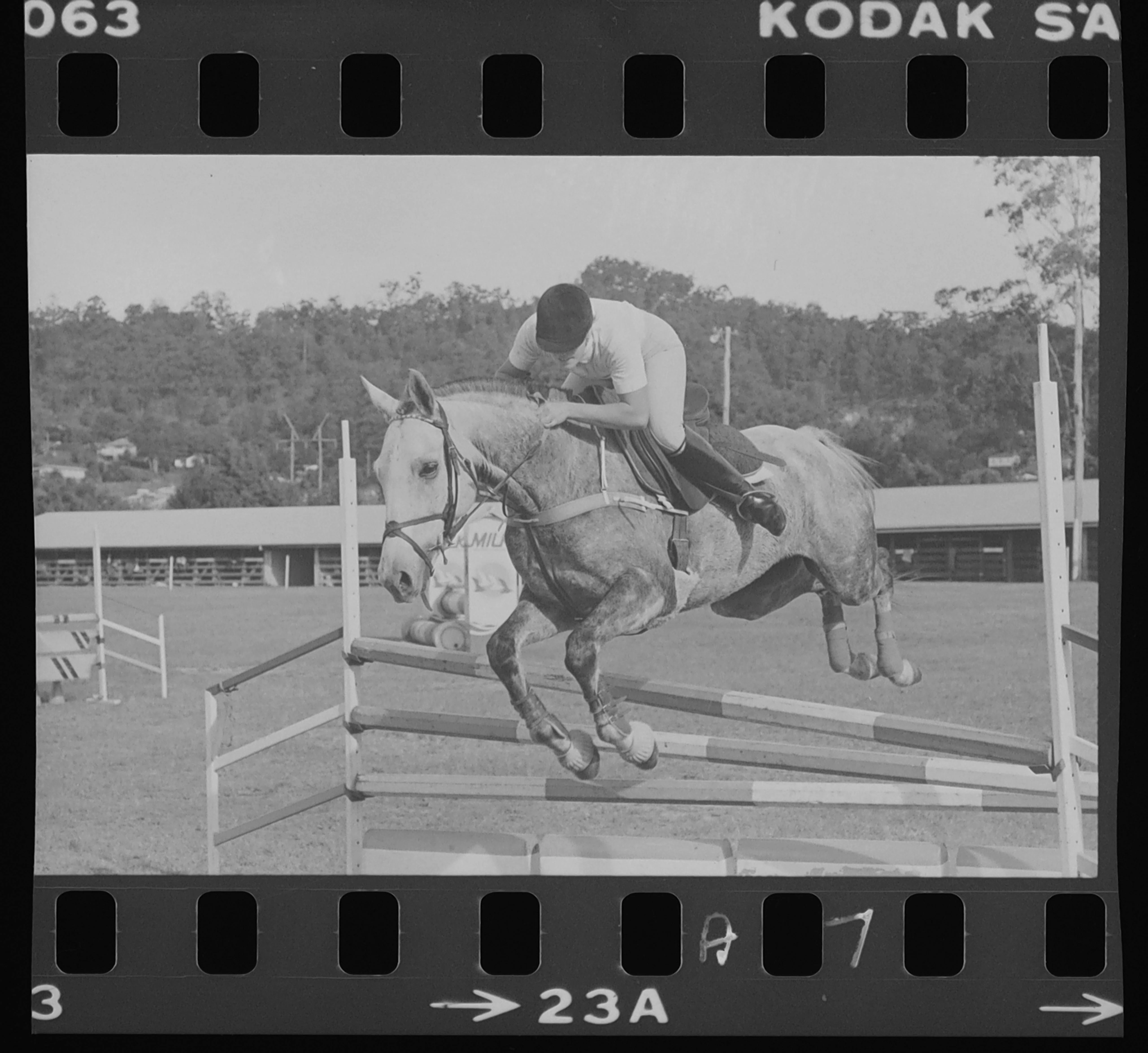 Mayday horse show. Horse jumping over poles