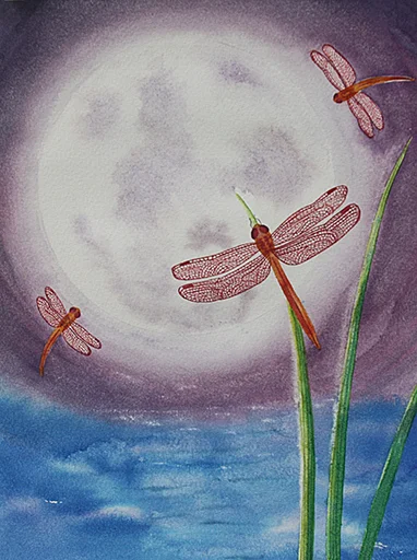 Red Dragonfly Dance