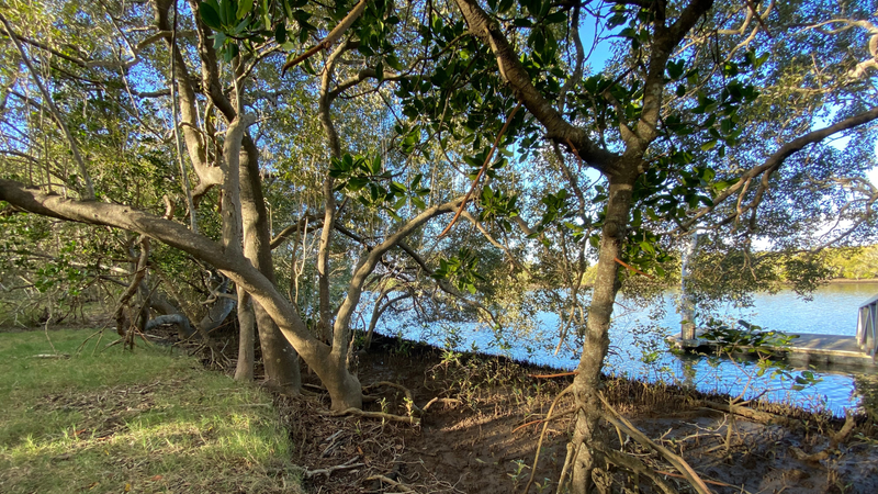 On the river's edge