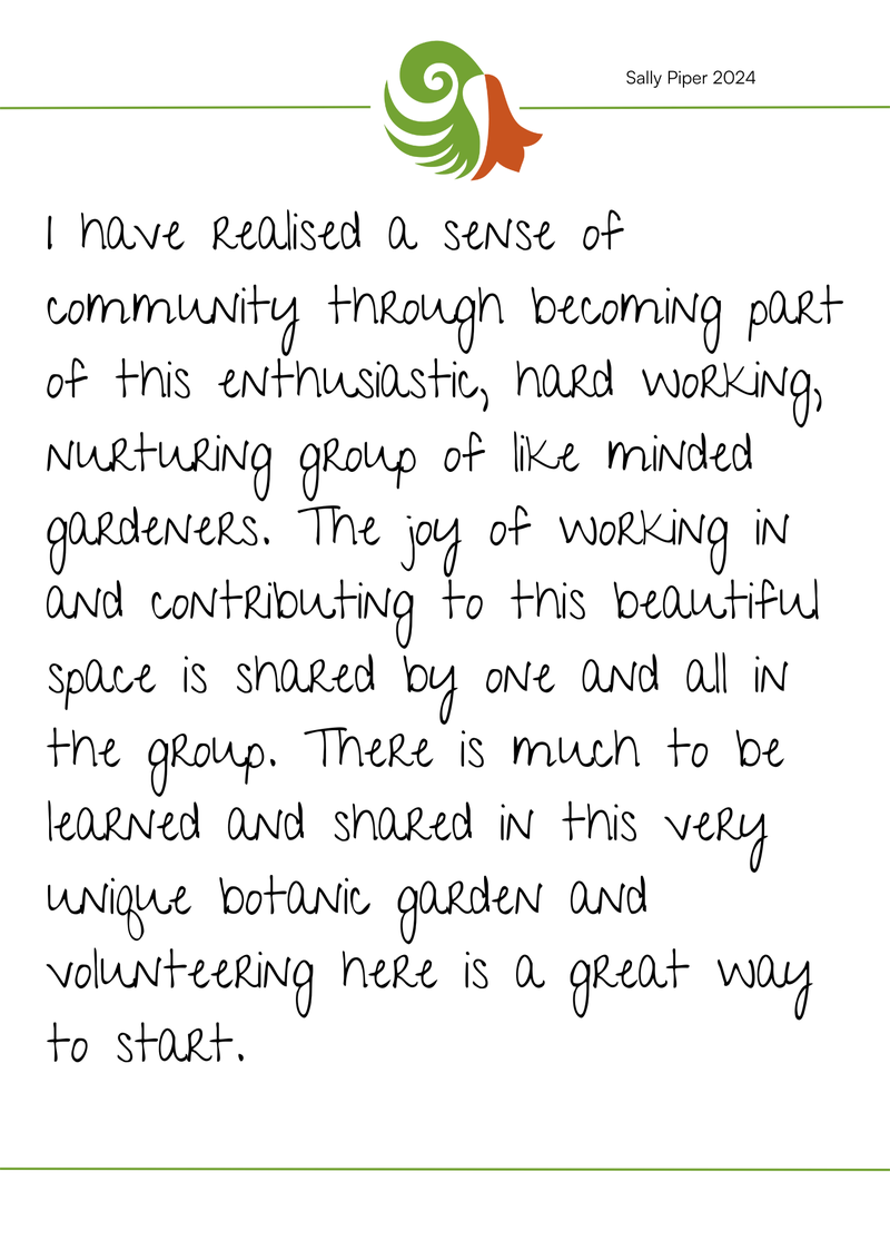 National Volunteer Week Submission - MRBBG 2024 Sally Piper