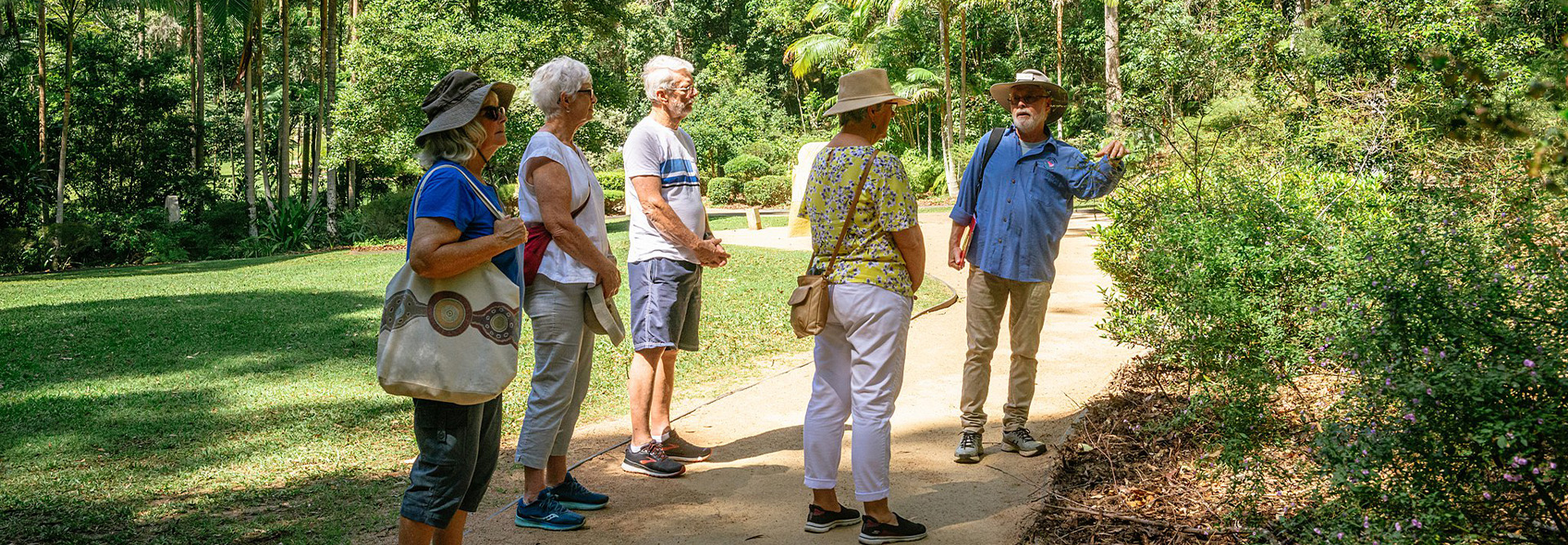 Guided walks