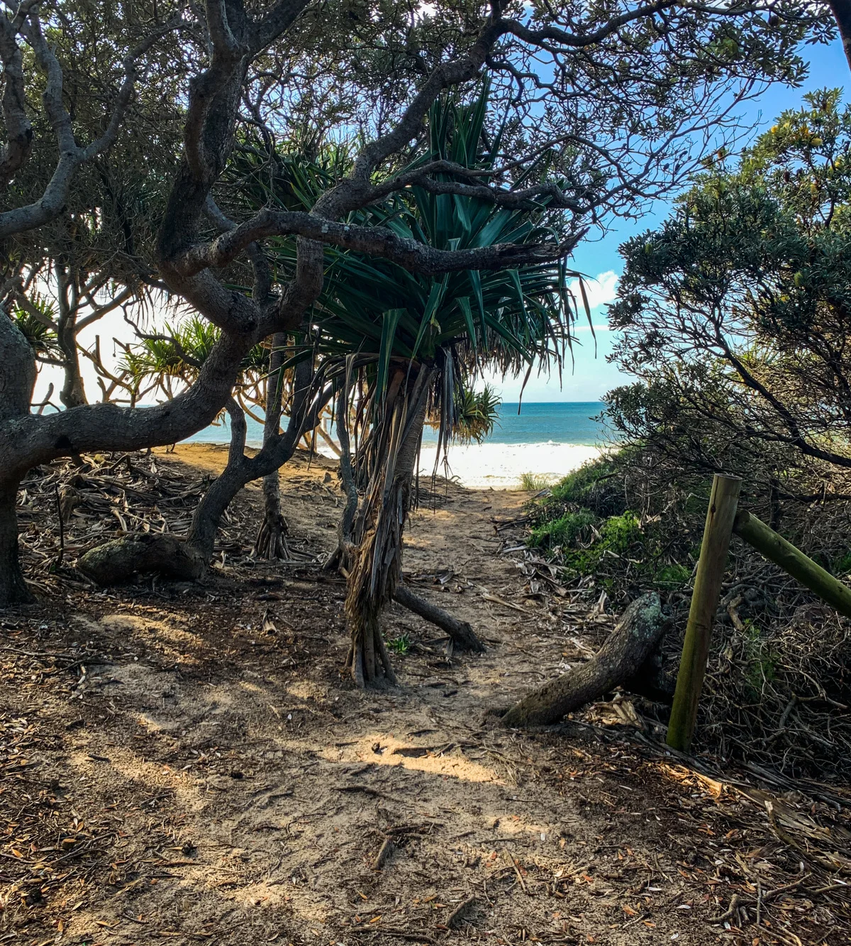 Dicky Beach to Currimundi Lake coastal pathway 