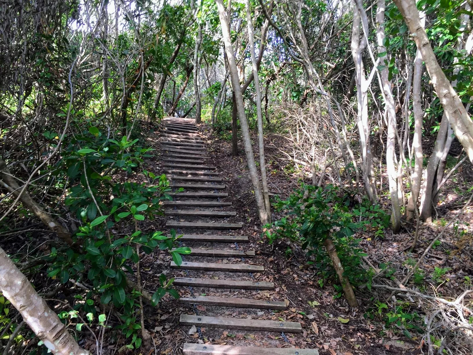 Lake Currimundi (Kathleen McArthur) Conservation Park circuit