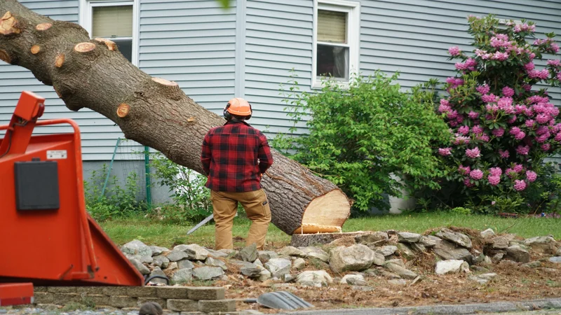 Tree clearing on private property