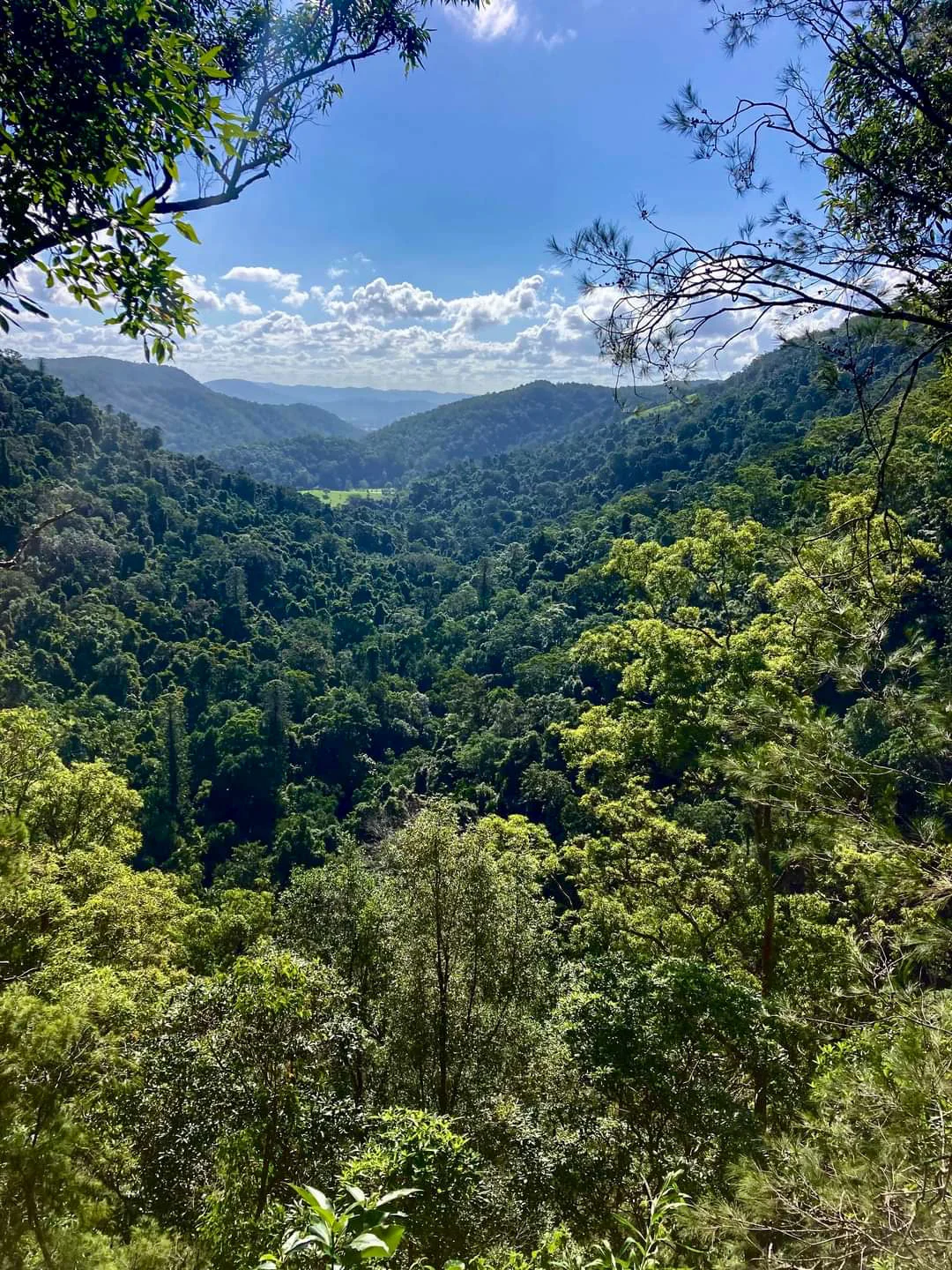 Kondalilla National Park Rock Pools Walk