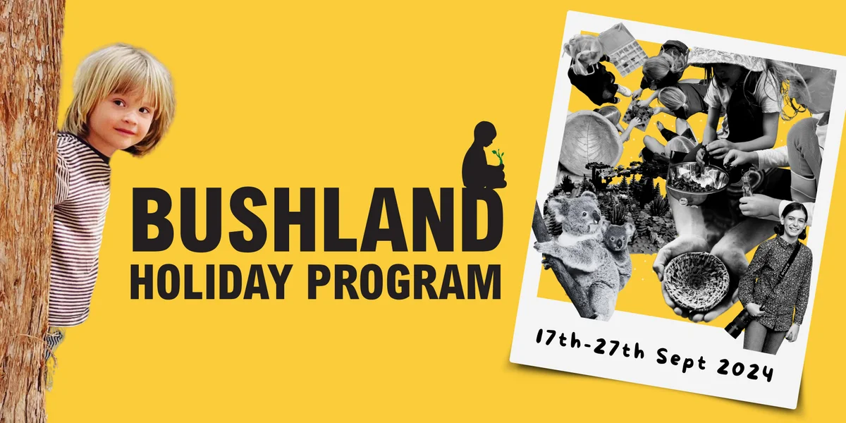 Bushland holiday program