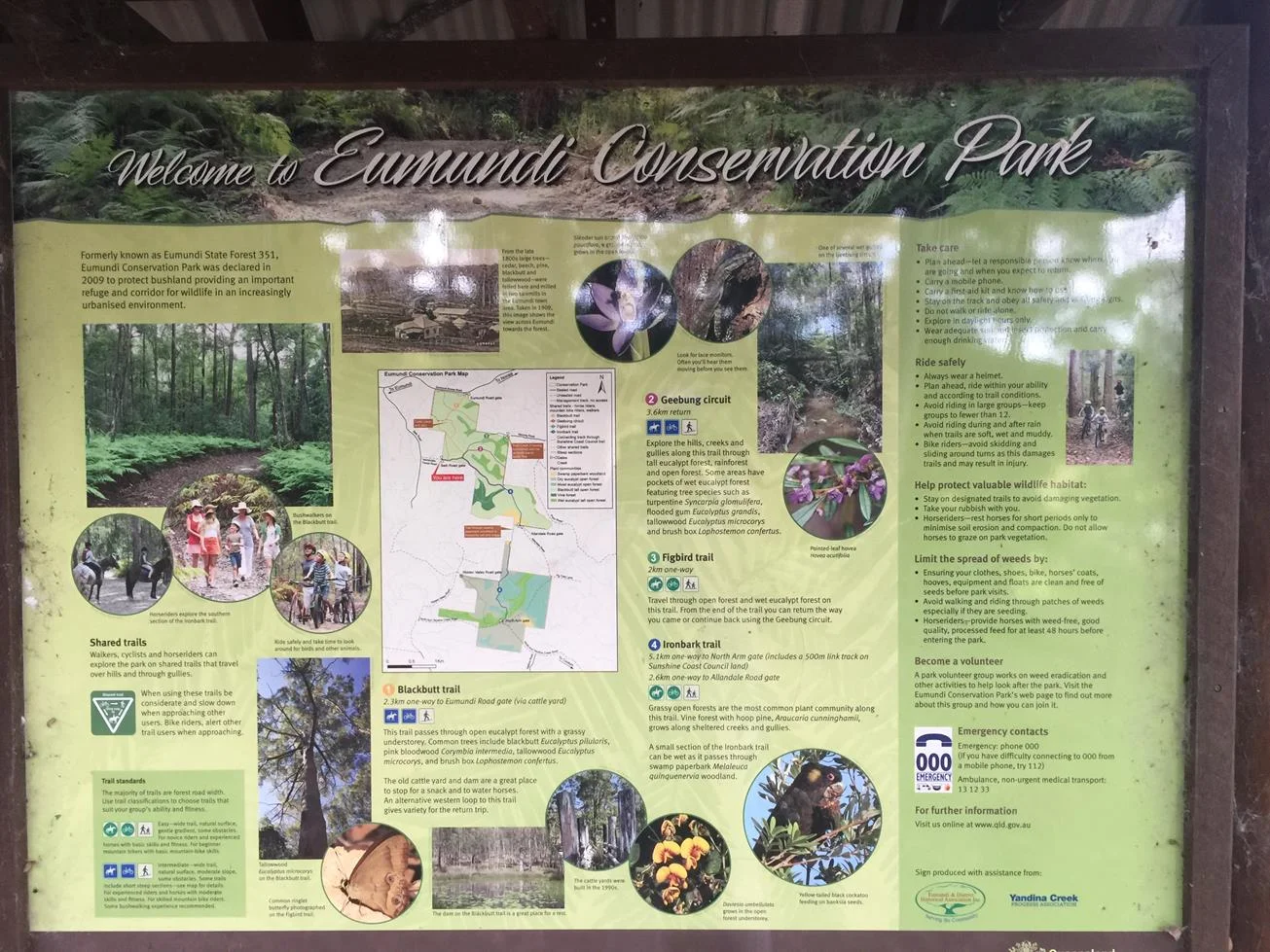 Eumundi Conservation Park trails