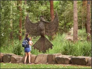 Adventure: Whipbird walk (Maroochy Regional Bushland Botanic Gardens)