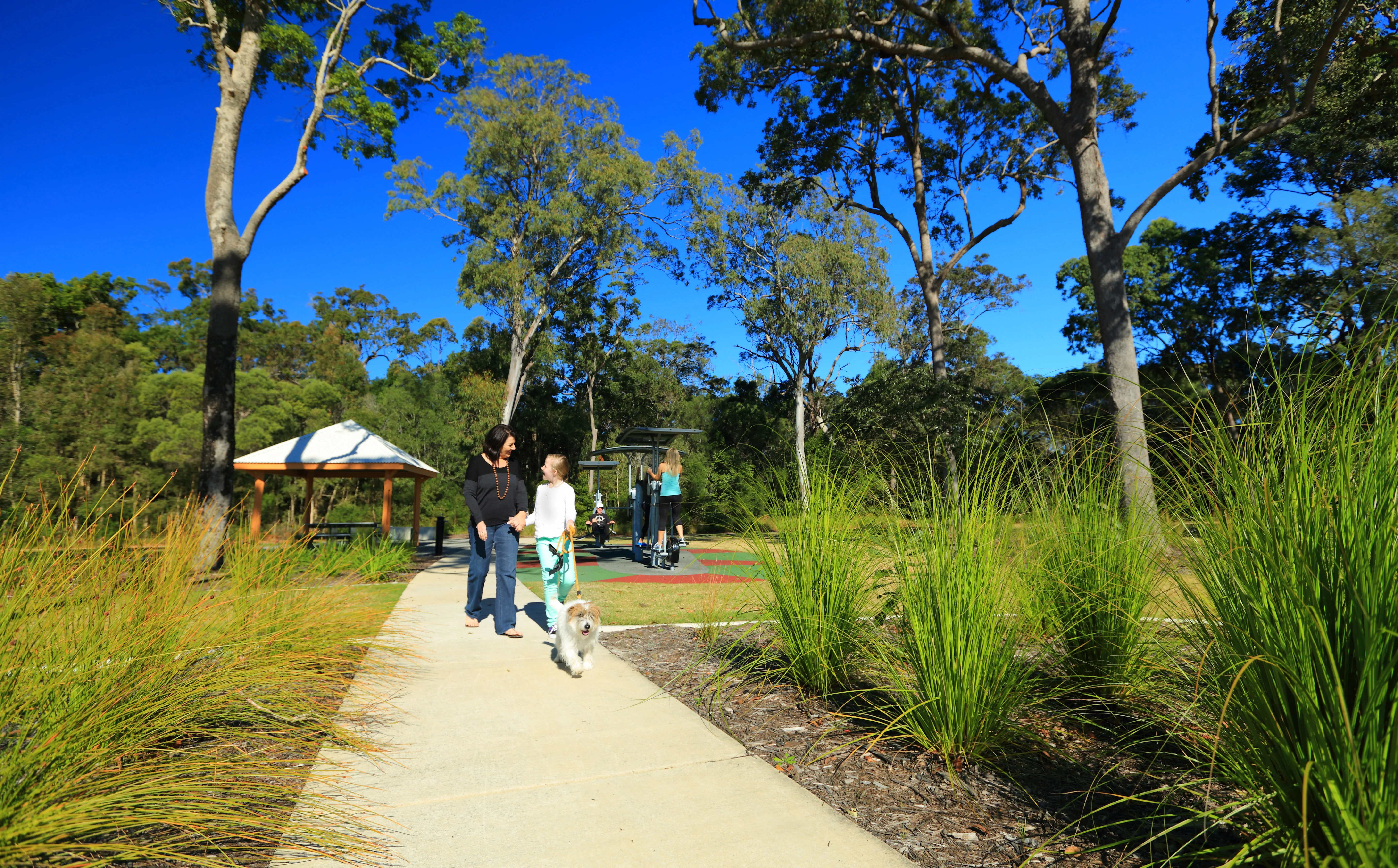 Family and dog walking in a park