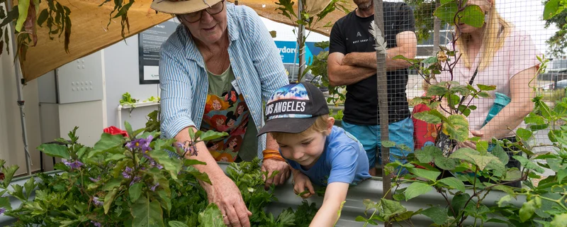 Community gardens