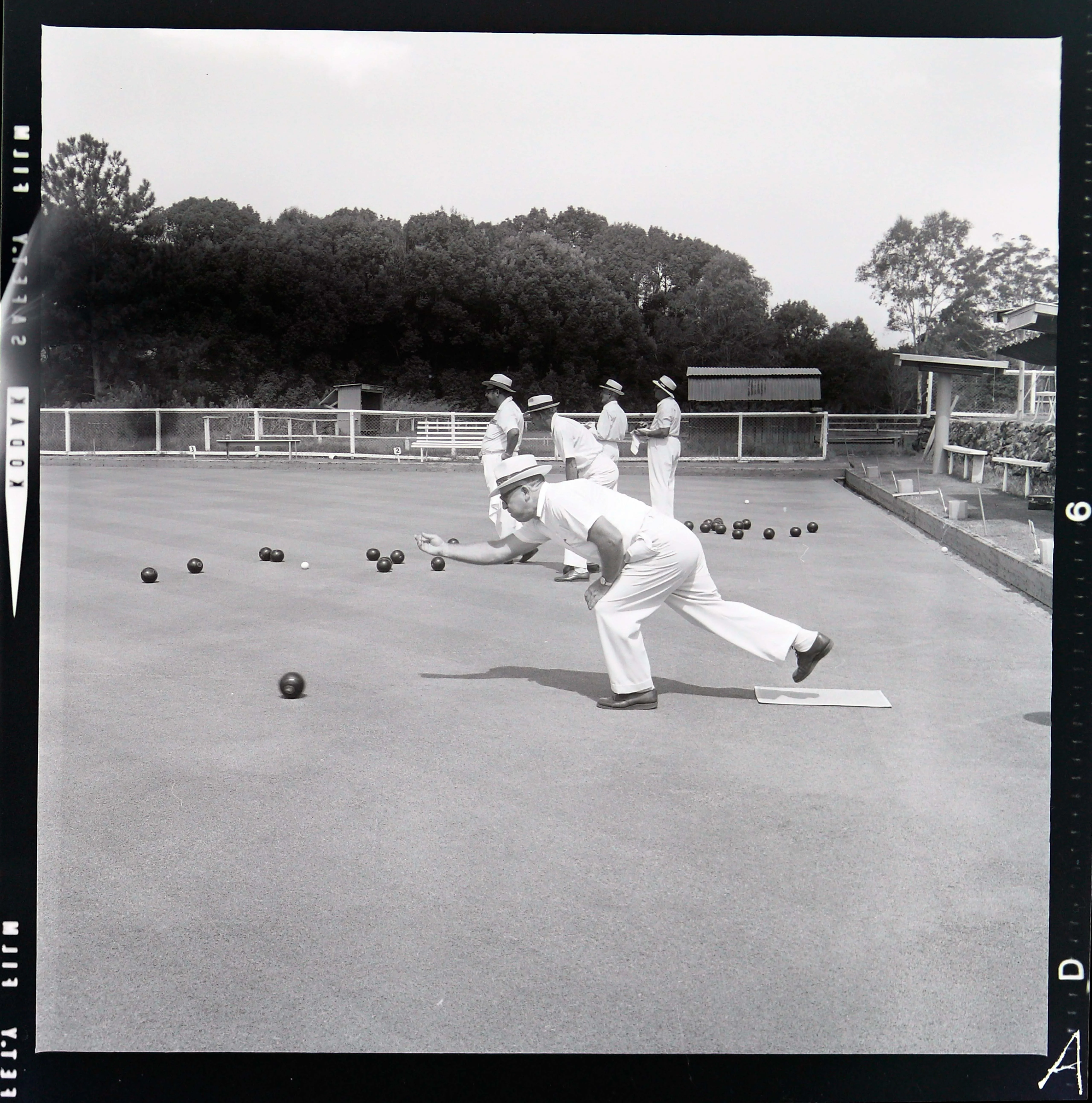 Lawn bowls, a man rolling a ball