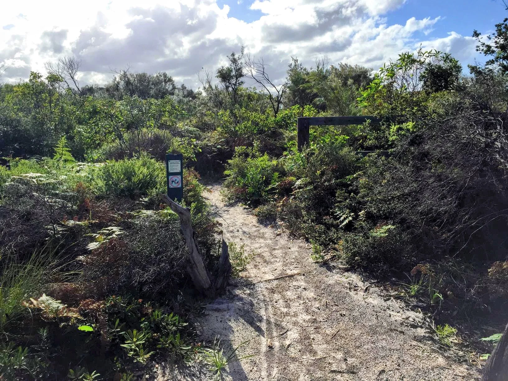 Lake Currimundi (Kathleen McArthur) Conservation Park circuit