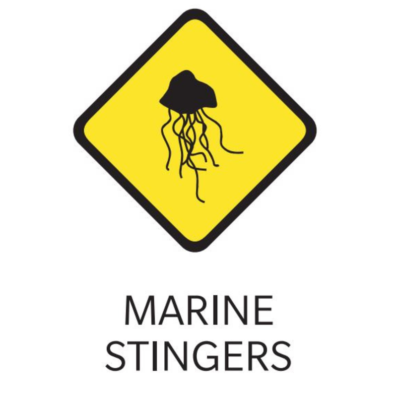 Marine Stingers.png