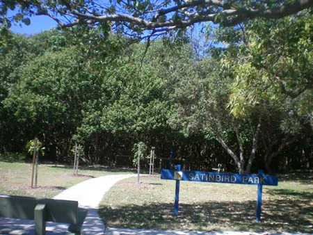 Satinbird Park
