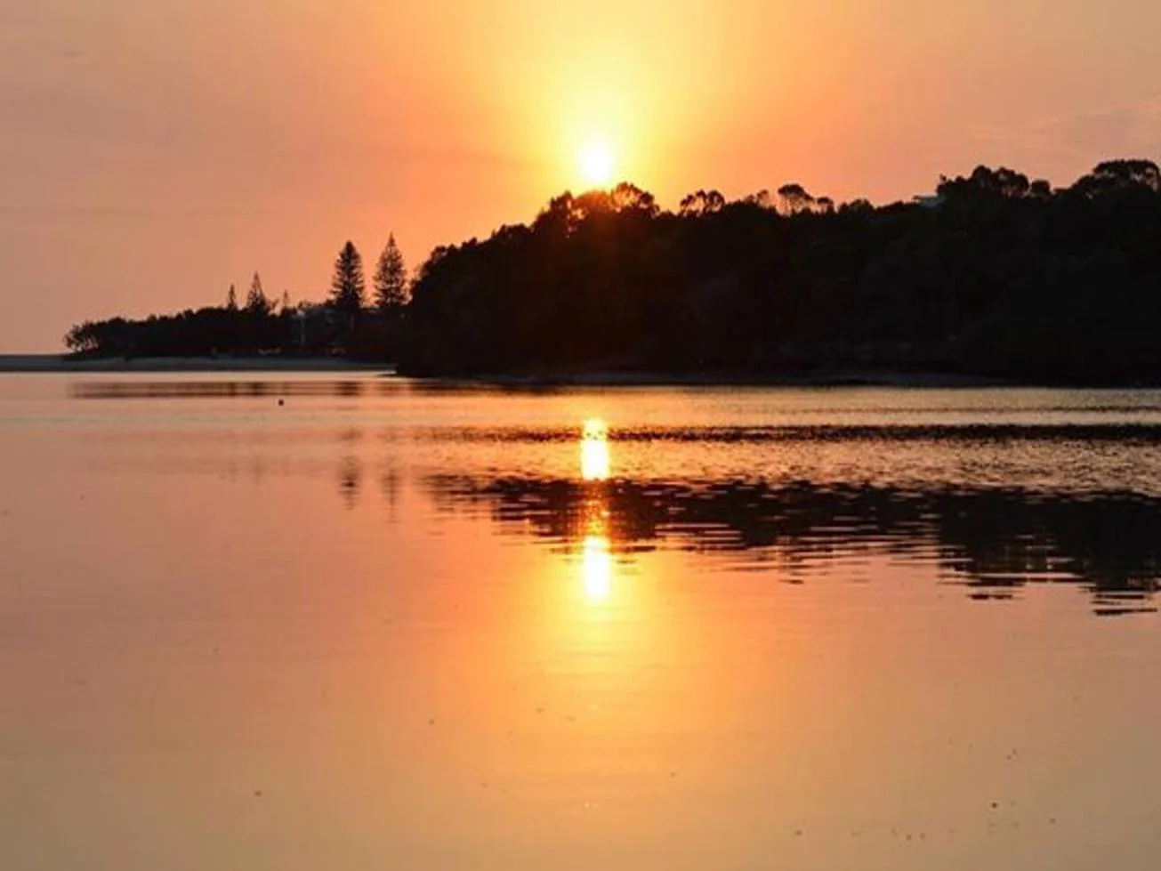 Lake Currimundi (Kathleen McArthur) Conservation Park circuit