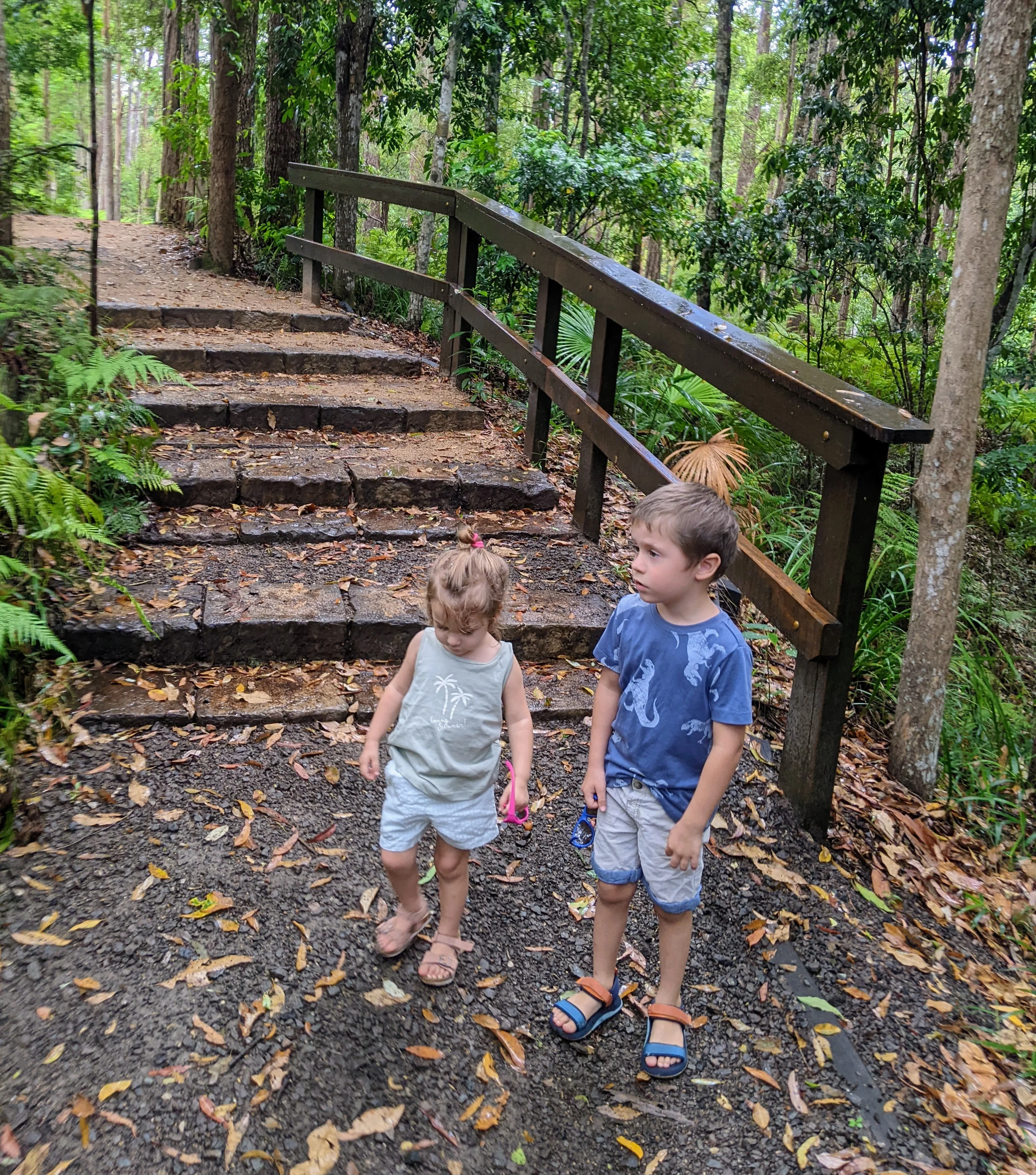 Maroochy Bushland Botanic Garden, Lagoon Walk 