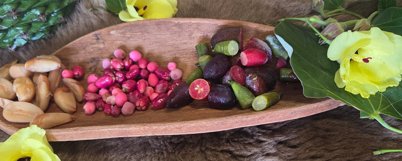 Bush tucker gardening