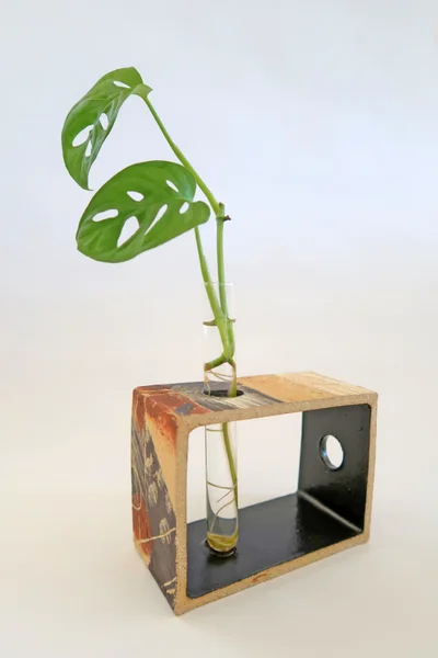 Catherine Dinkelmann Ceramics