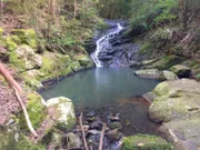 Adventure: Kondalilla National Park Rock Pools Walk 