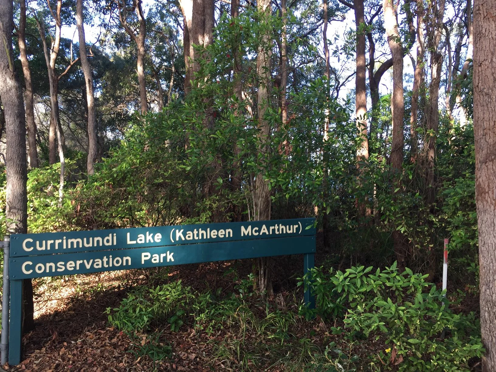 Currimundi Lake – ‘Loop the Lake’ walk