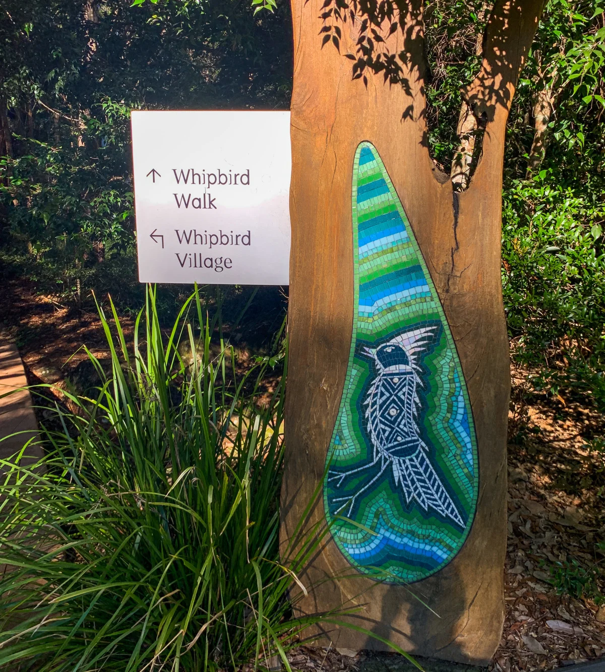 Whipbird walk (Maroochy Regional Bushland Botanic Gardens)