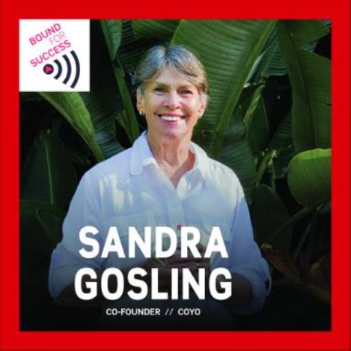Becoming an entrepreneur with Sandra Gosling