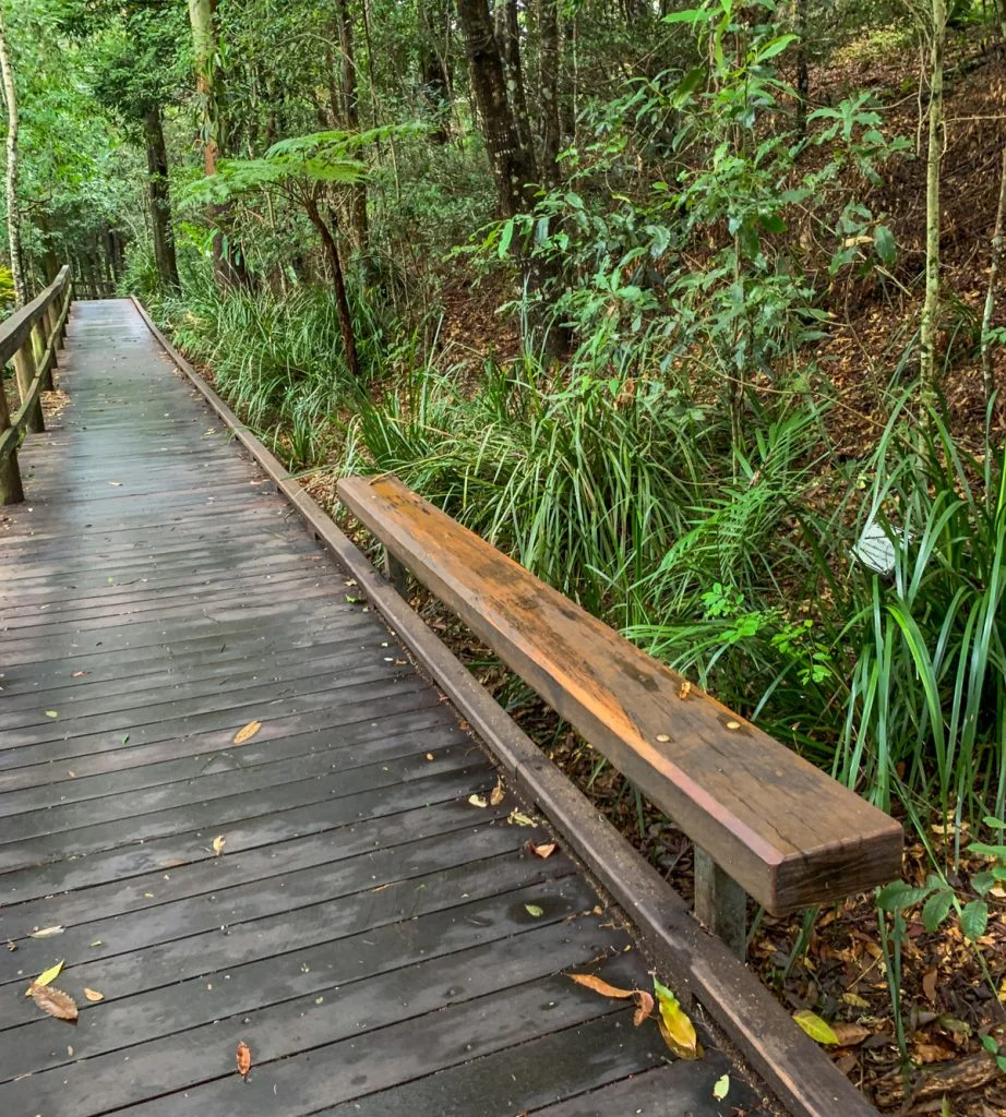 Maleny Obi Obi boardwalk.