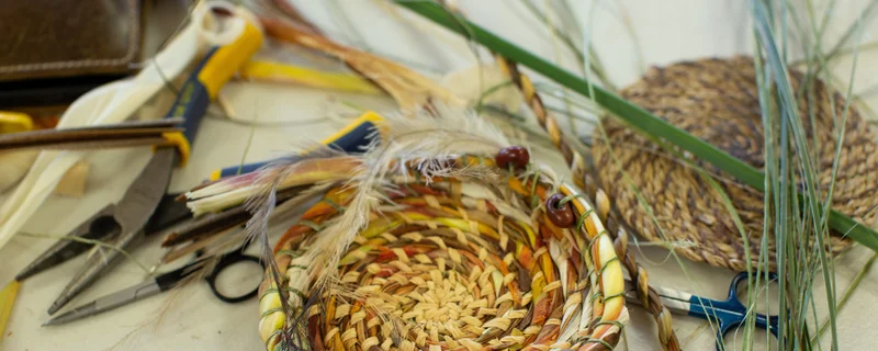 Skills sharing workshops series