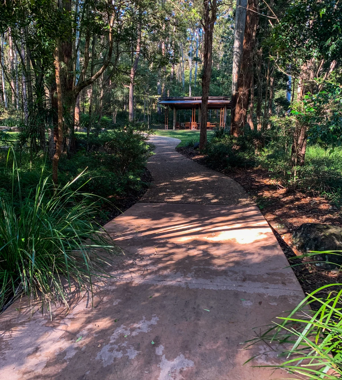 Whipbird walk (Maroochy Regional Bushland Botanic Gardens)