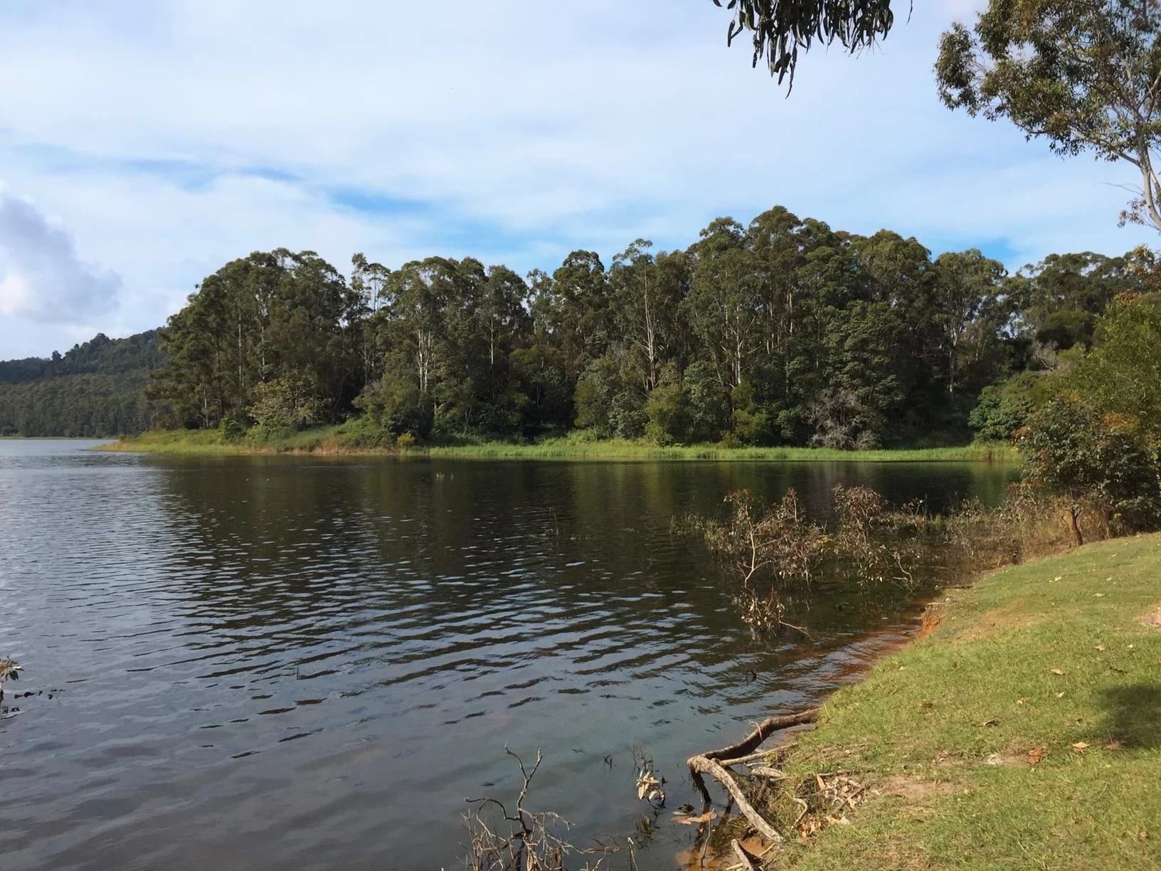 Baroon Pocket Dam – Martin Williams Walk