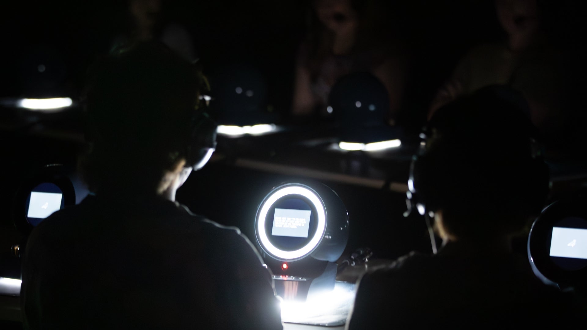 Pigeon Fool Credit_Kate O'Sullivan.jpg