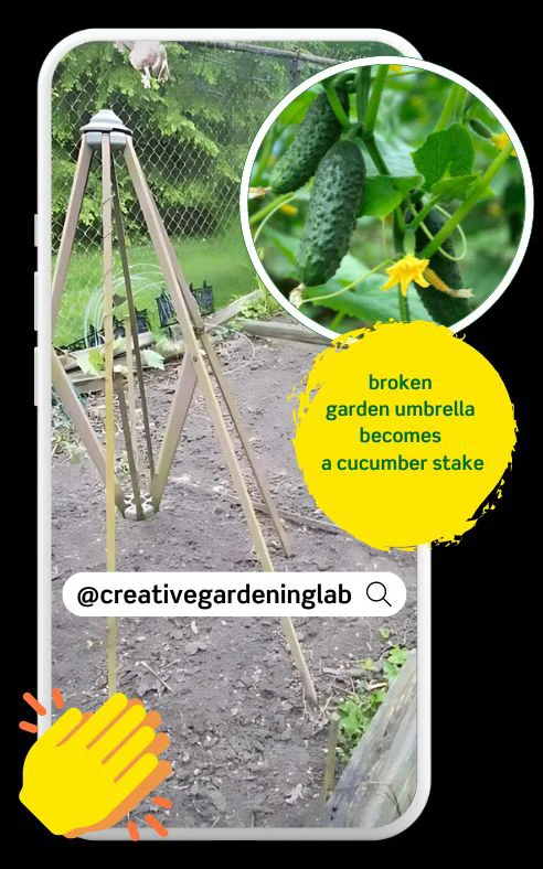 Creative reuse of an old umbrella into a garden stake