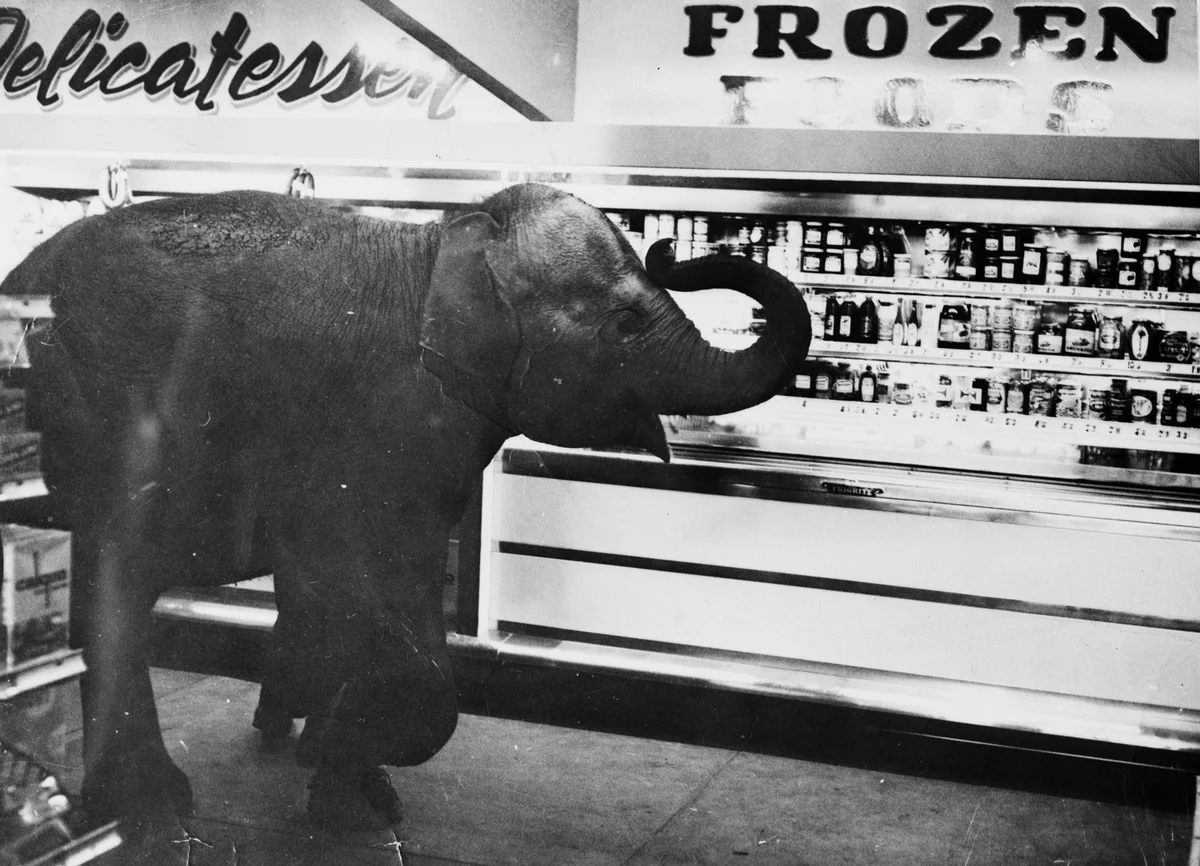 Weird and Wonderful Heritage