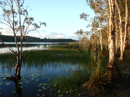 Sunshine Coast Landscape and Wildlife Photography Award 2015