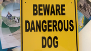 Council continues to enforce dangerous dog restrictions