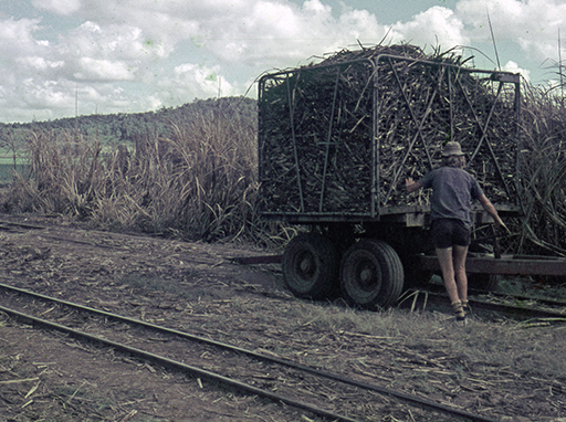 Agriculture & industry