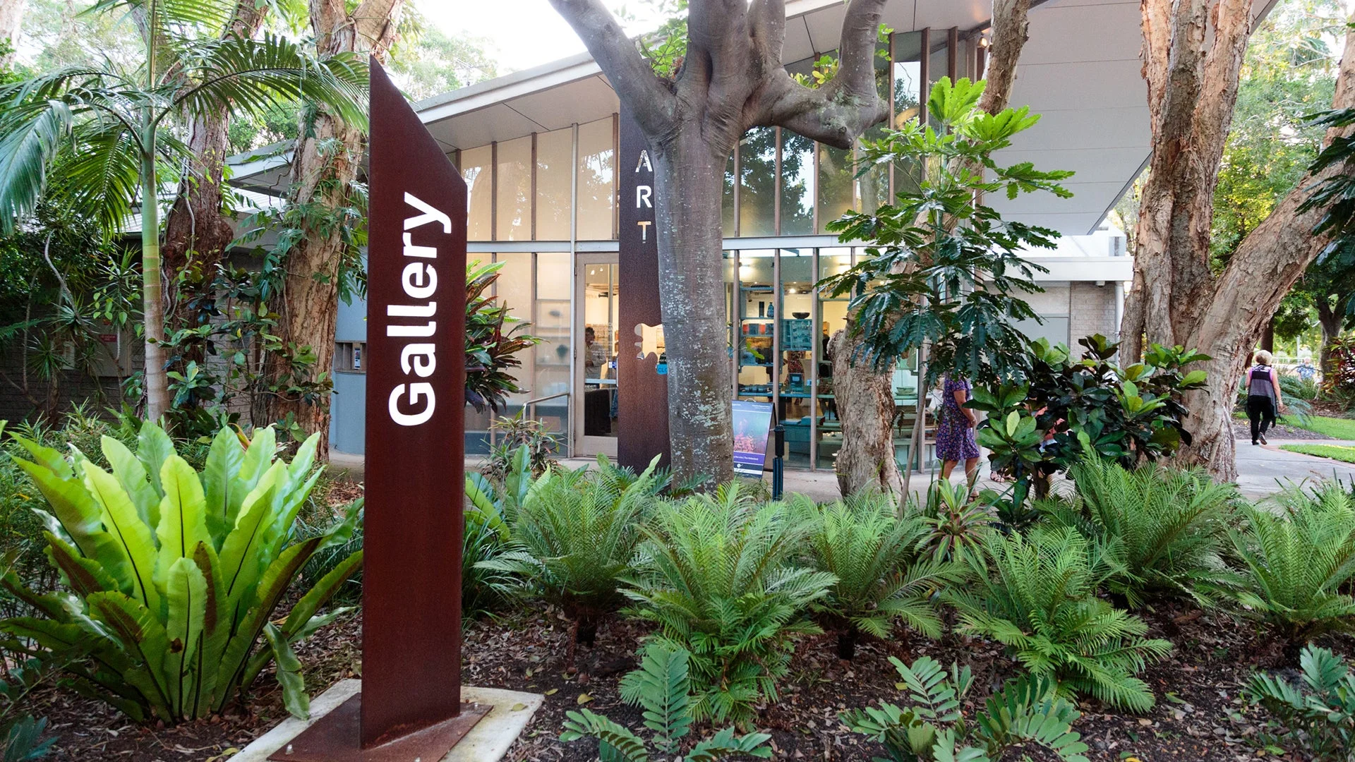 View over a garden of ferns to the entrance of the Caloundra Regional Gallery