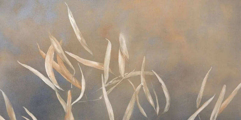 Exhibition: The Gentle Shift