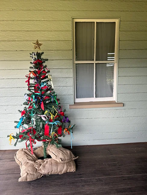 Relive Christmas at Bankfoot House, hear family stories, and decorate the Christmas tree on the verandah – it was a family tradition.