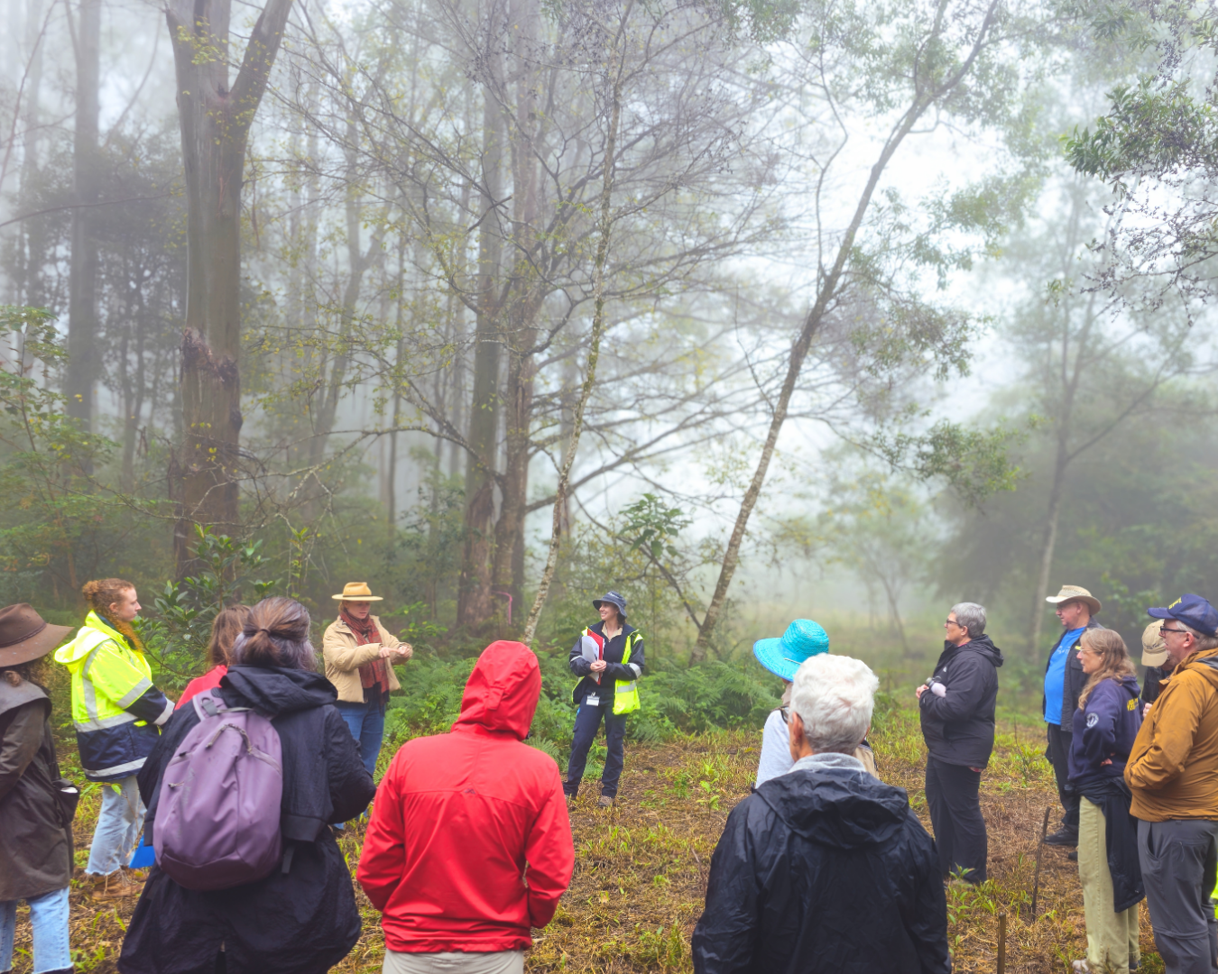 group in a reserve listening to a speaker