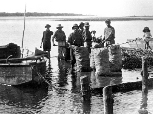 Watermen pioneers - Pumicestone Passage