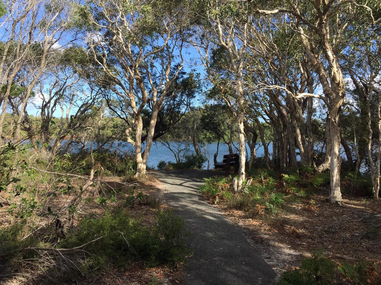 Currimundi Lake – ‘Loop the Lake’ walk