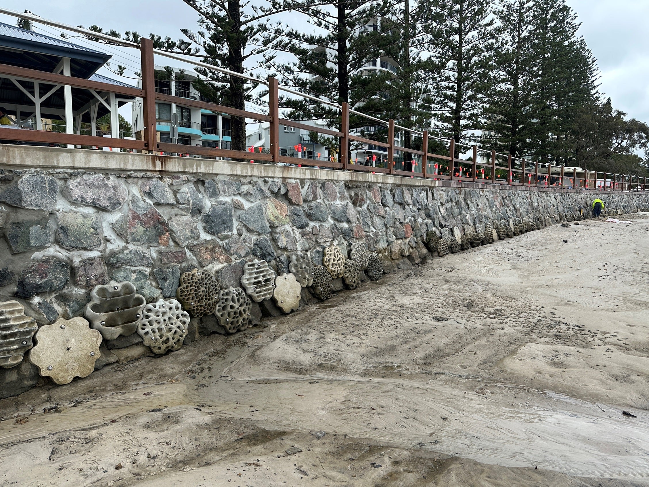 Living seawall with specially designed concrete tiles at Golden Beach