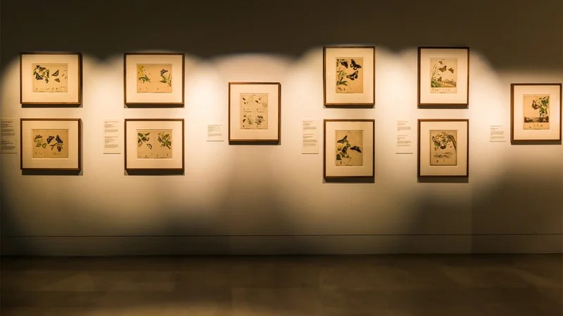 Transformations: Art of the Scott Sisters Exhibition