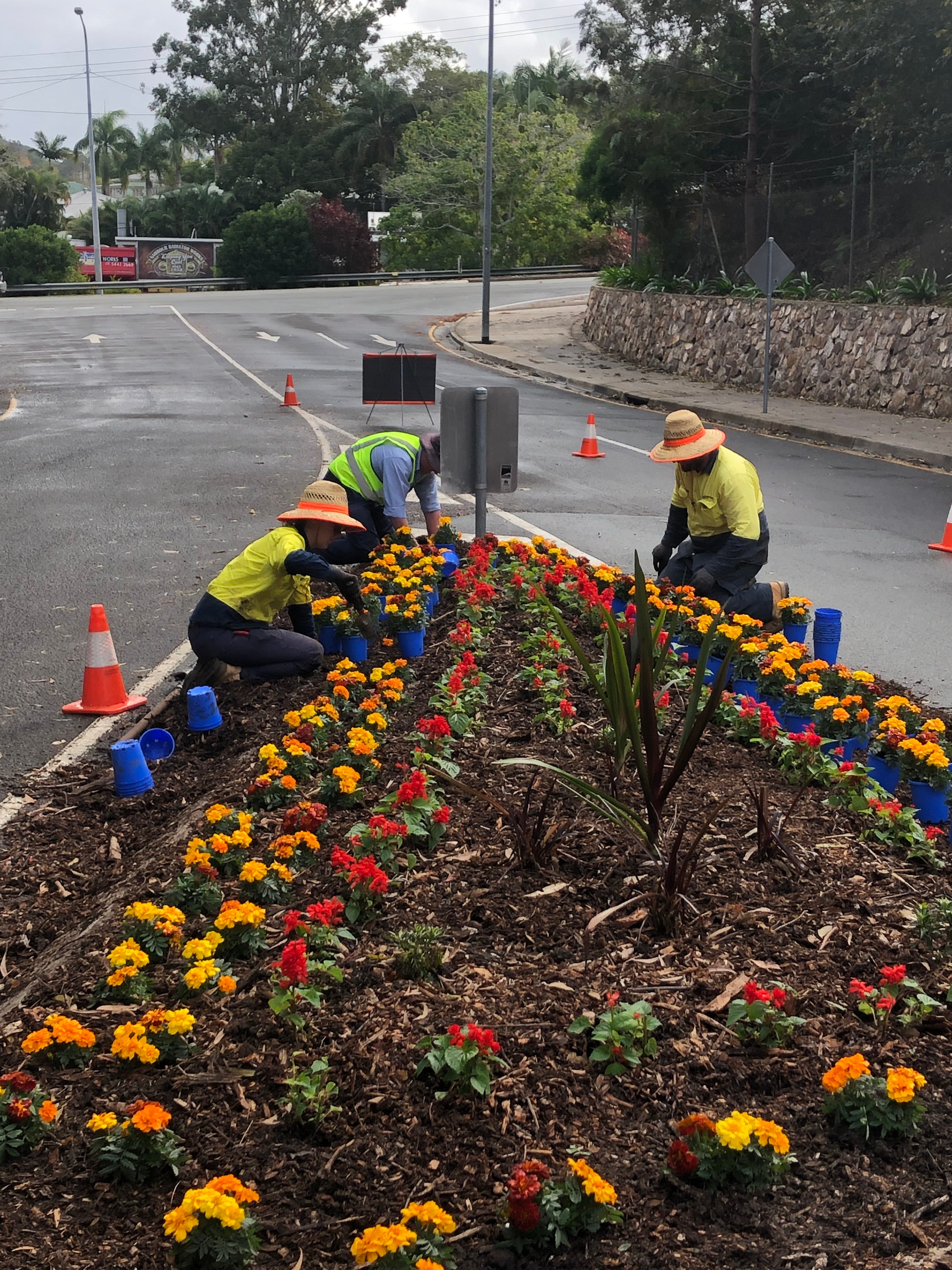 Parks team planting garden bed near road