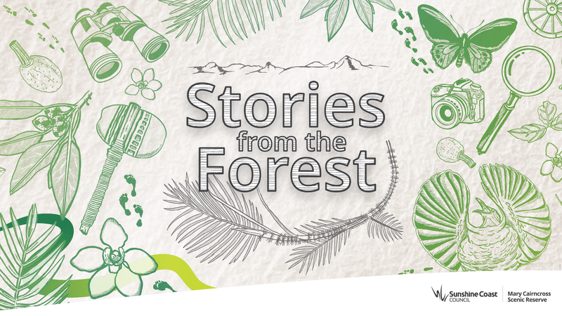 Stories from the forest exhibition