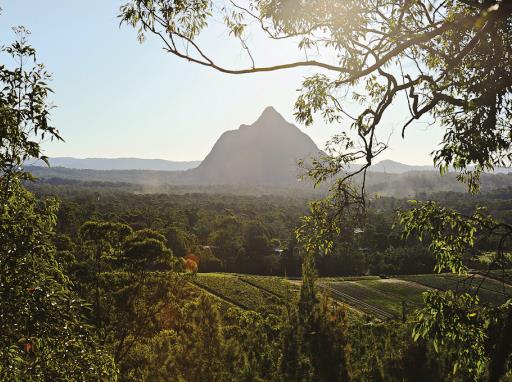 Explore the Sunshine Coast timeline 